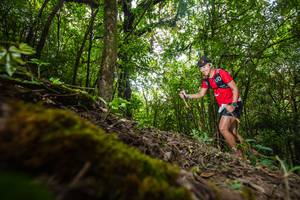 BIB: 
                            <button type="button" onclick="openModal(16008444)" class="btn btn-primary btn-sm float-right btn-popup" data-toggle="modal" data-target=".modal-high-quality">
                        <i class="fas fa-shopping-cart"></i> Add to Cart
                    </button>
                                            <button type="button" onclick="isThisMe(16008444, true)" class="btn btn-success btn-sm float-right btn-popup btn-isme hidden" data-toggle="tooltip" data-placement="bottom" title="นี่คือรูปของคุณใช่ไหม คลิกที่นี่เพื่อเอาเข้าอัลบั้ม">
                        <i class="fas fa-plus"></i> Add to album
                    </button>
                    <button type="button" onclick="isThisMe(16008444, false)" class="btn btn-warning btn-sm float-right btn-popup btn-isnotme hidden">
                        <i class="fas fa-ban"></i> Remove from album
                    </button>